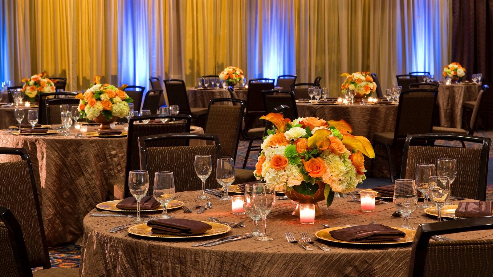 Sheraton Tampa Brandon Hotel Mango Business foto
